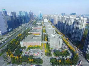 成都最強(qiáng)科技大腦地圖