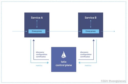 Istio學(xué)習(xí)筆記 服務(wù)網(wǎng)格在信息系統(tǒng)運行維護(hù)服務(wù)中的應(yīng)用與實踐